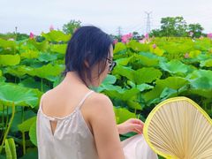 -梁鸿国家湿地公园