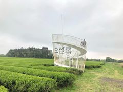 -雪绿茶博物馆