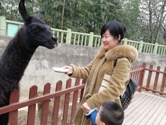 -西安秦岭野生动物园