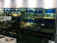 水产区-胖大嫂渔家排档(半边山店)