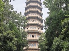 -灵谷景区