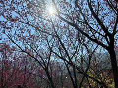 -福清灵石山国家森林公园