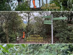 -午潮山国家森林公园