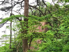 -黄山北海宾馆