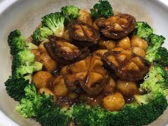 鲍鱼-品味居·首店·大连鲜活海鲜大连菜(东港店)