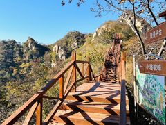 -大岭沟猕猴桃谷风景区