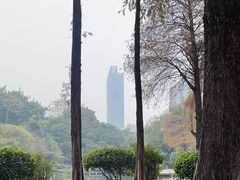 -晓港公园