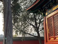 -妙应寺白塔