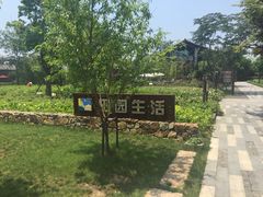 -田园东方蜜桃村的田野营地