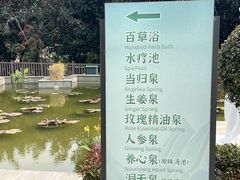 -罗浮山嘉宝田森林温泉度假酒店