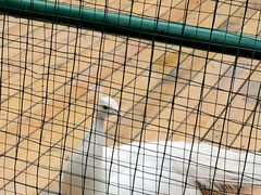 -香宫中餐厅 · 桂林香格里拉