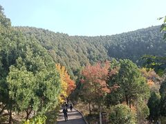 -佛慧山