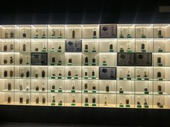 -广东中医药博物馆