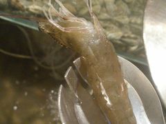 -富力万达嘉华酒店-美食汇西餐厅