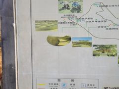 -金塔沙漠胡杨林景区