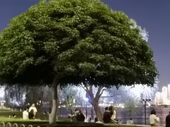 -武昌江滩