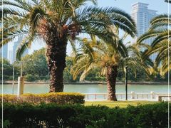 -白鹭洲公园