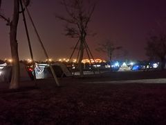 -春花秋色城市公园