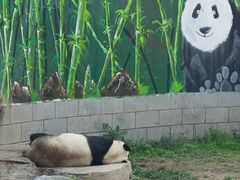 -南昌动物园