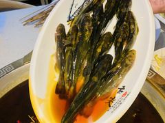 -成都秧秧鱼(黄泥磅店)
