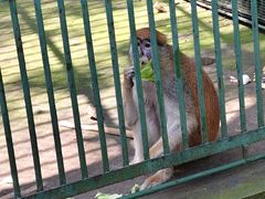 -秦皇岛野生动物园