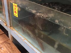 -顺德一品粥·20年凤城老字号(芳村店)