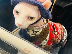 -瑞幸咖啡(三里屯SOHO-6号楼店)