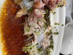 清蒸白水鱼-和记小菜(东方店)