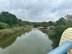 -上海长兴岛郊野公园