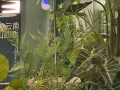 -芸山季·云南山珍菌火锅(南翔印象城MEGA店)