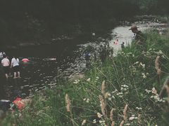 -北仑森林植物园