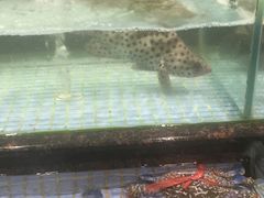 -新海利大酒店(拱北口岸店)