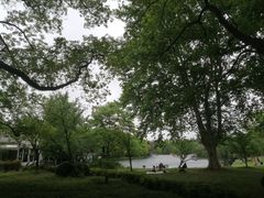 -上海共青森林公园