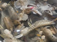 -孙家码头海鲜自助美食城