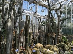 -国家植物园南园