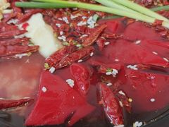-黄潇洒老火锅(九眼桥宏济巷店)
