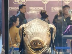 -隋唐大运河文化博物馆