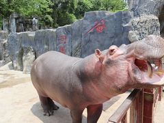 -贵州森林野生动物园