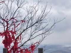 -句容茅山景区