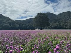 -广州市石门国家森林公园