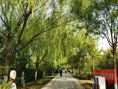 -南翠屏公园