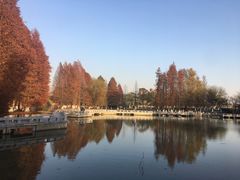 -白塘生态植物园