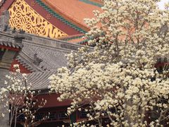 -天津大悲禅院