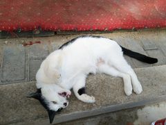 -三点小吃(山大店)