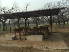 -西安秦岭野生动物园