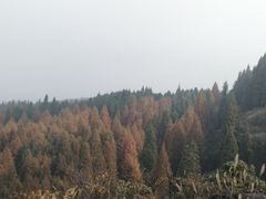 -山王坪喀斯特国家生态公园