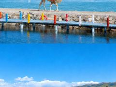 -青海湖国家重点风景名胜区