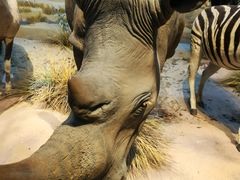 -陕西自然博物馆