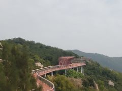 -东澳岛