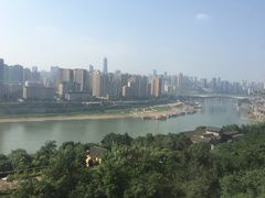 -南山植物园